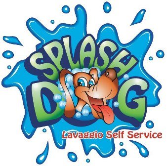SplashDog